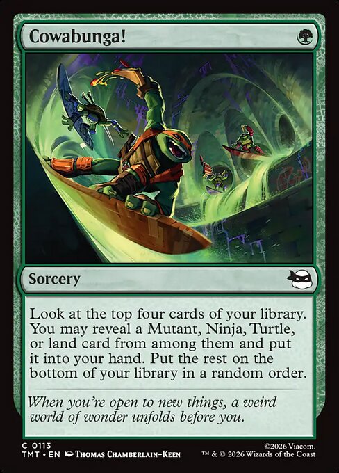 Cowabunga! - Teenage Mutant Ninja Turtles