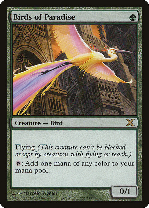 Birds of Paradise - 10th Edition