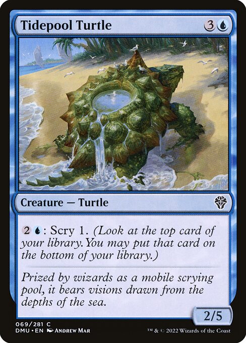 Tidepool Turtle - Dominaria United