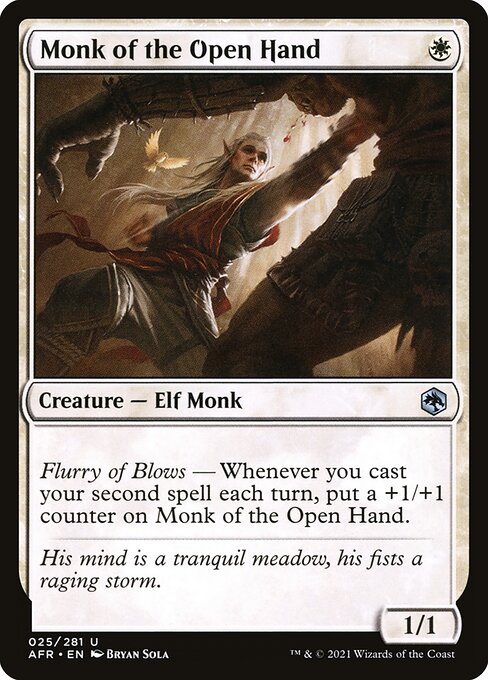 Monk of the Open Hand - Adventures in the Forgotten Realms