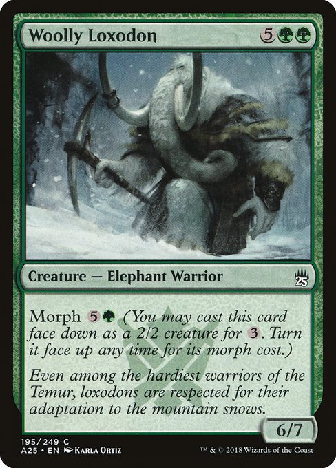 Woolly Loxodon - Masters 25