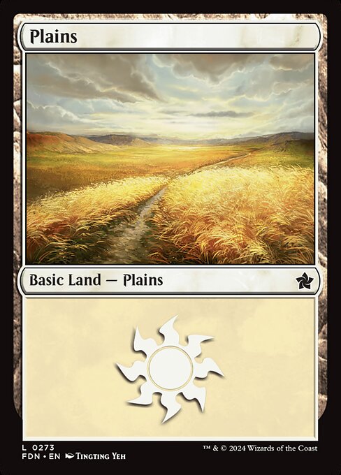 Plains (0273) - Foundations