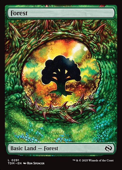 Forest (0291) - Tarkir: Dragonstorm