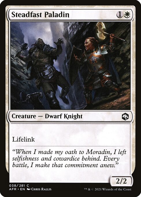 Steadfast Paladin - Adventures in the Forgotten Realms