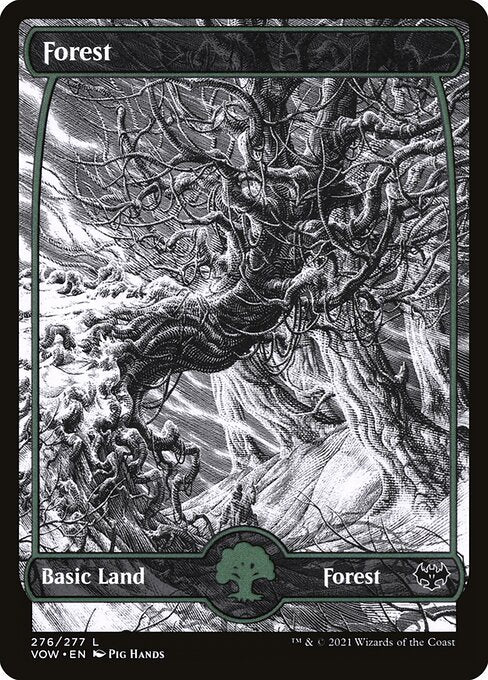 Forest (276) - Innistrad: Crimson Vow