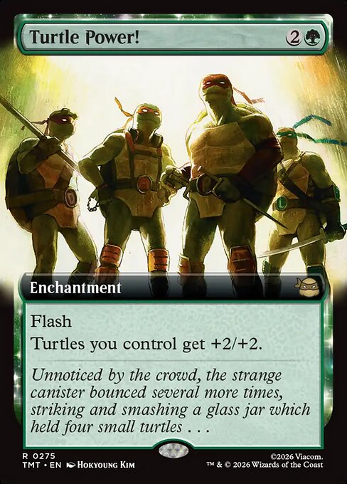 Turtle Power! (Extended Art) - Teenage Mutant Ninja Turtles